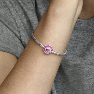 PANDORA Pandora Moments Charm 