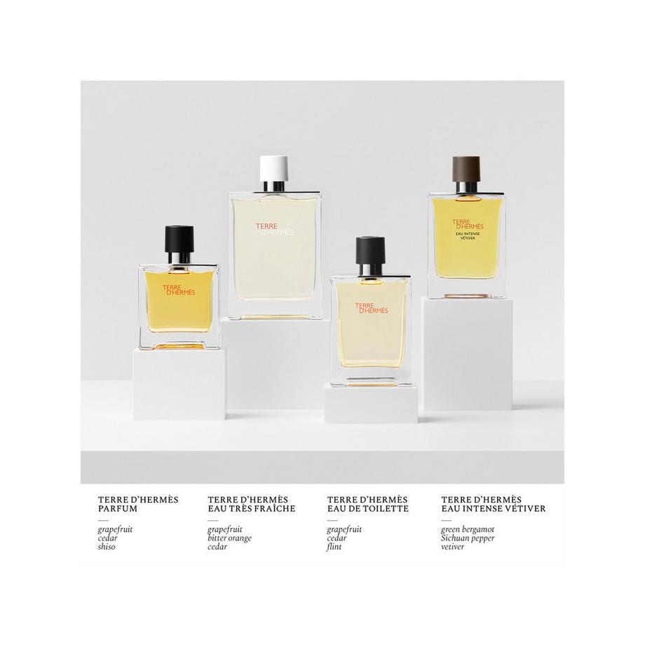 HERMÈS Terre d'Hermès, Parfum  