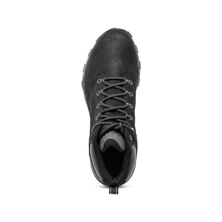 Timberland Treeline Trekker Sneakers, High Top 