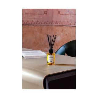 ACQUA DI PARMA Luce di Colonia Diffuser DIFFUSERS 