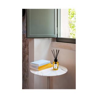 ACQUA DI PARMA Casa sul Lago Diffuser DIFFUSERS 