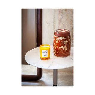 ACQUA DI PARMA La casa sul lago candela HOME FRAGRANCE 