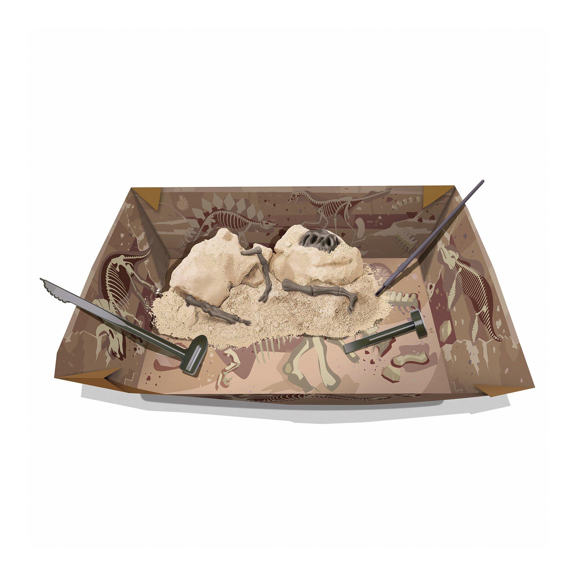 4M  Ausgrabung Tyrannosaurus Rex Deutsch/Französisch 