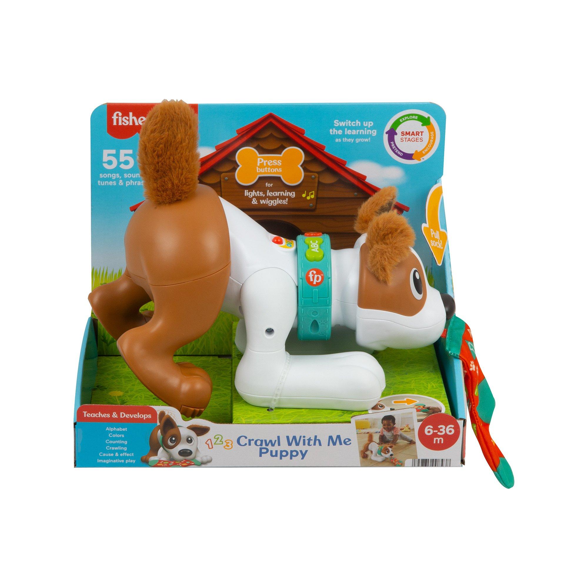 Image of Fisher-Price 123 Crawl With Me Puppy