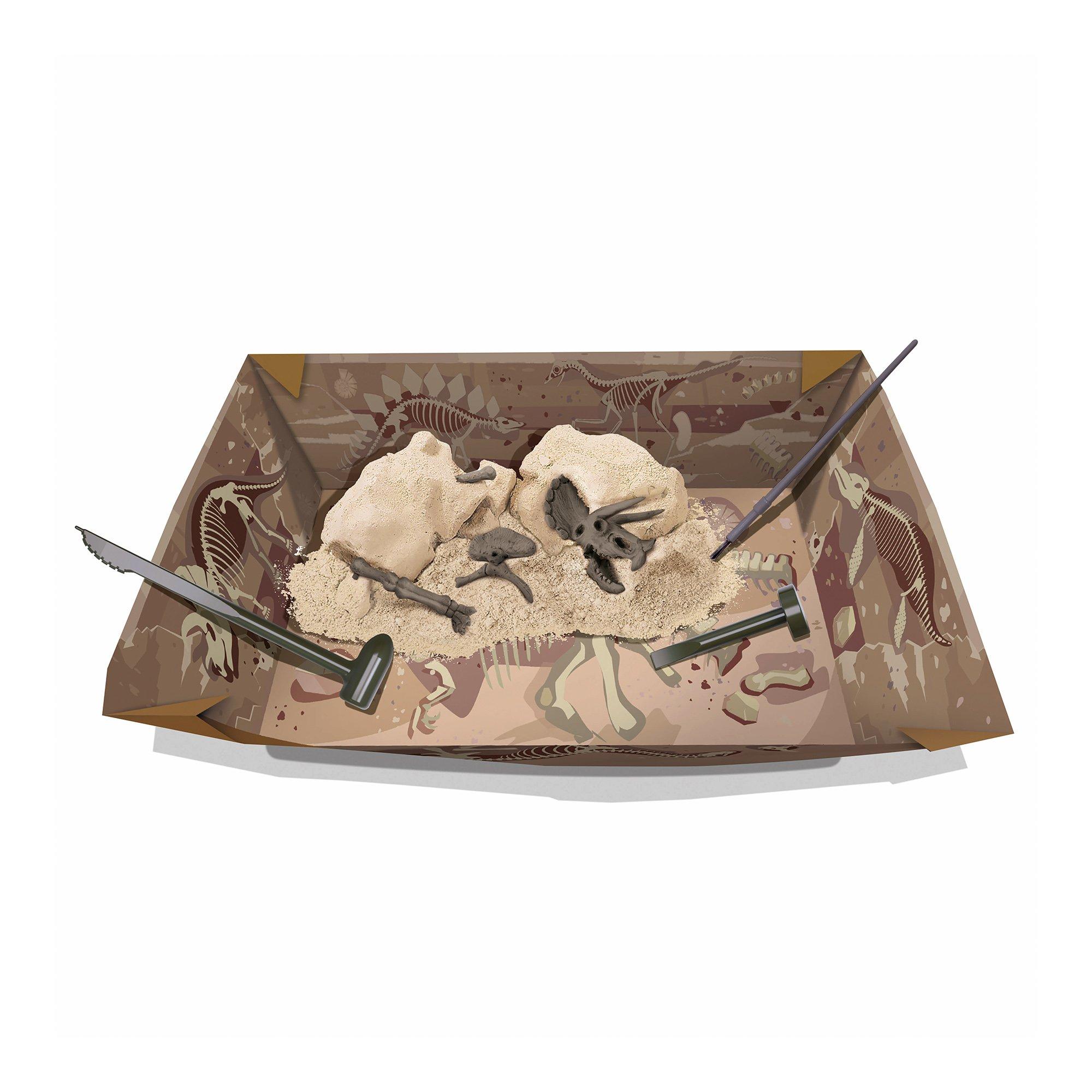 4M  Scavo Triceratopo Tedesco/Francese 