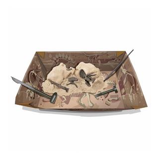 4M  Ausgrabung Triceratops Deutsch/Französisch 