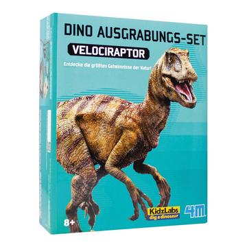 Fouille Velociraptor allemand/français