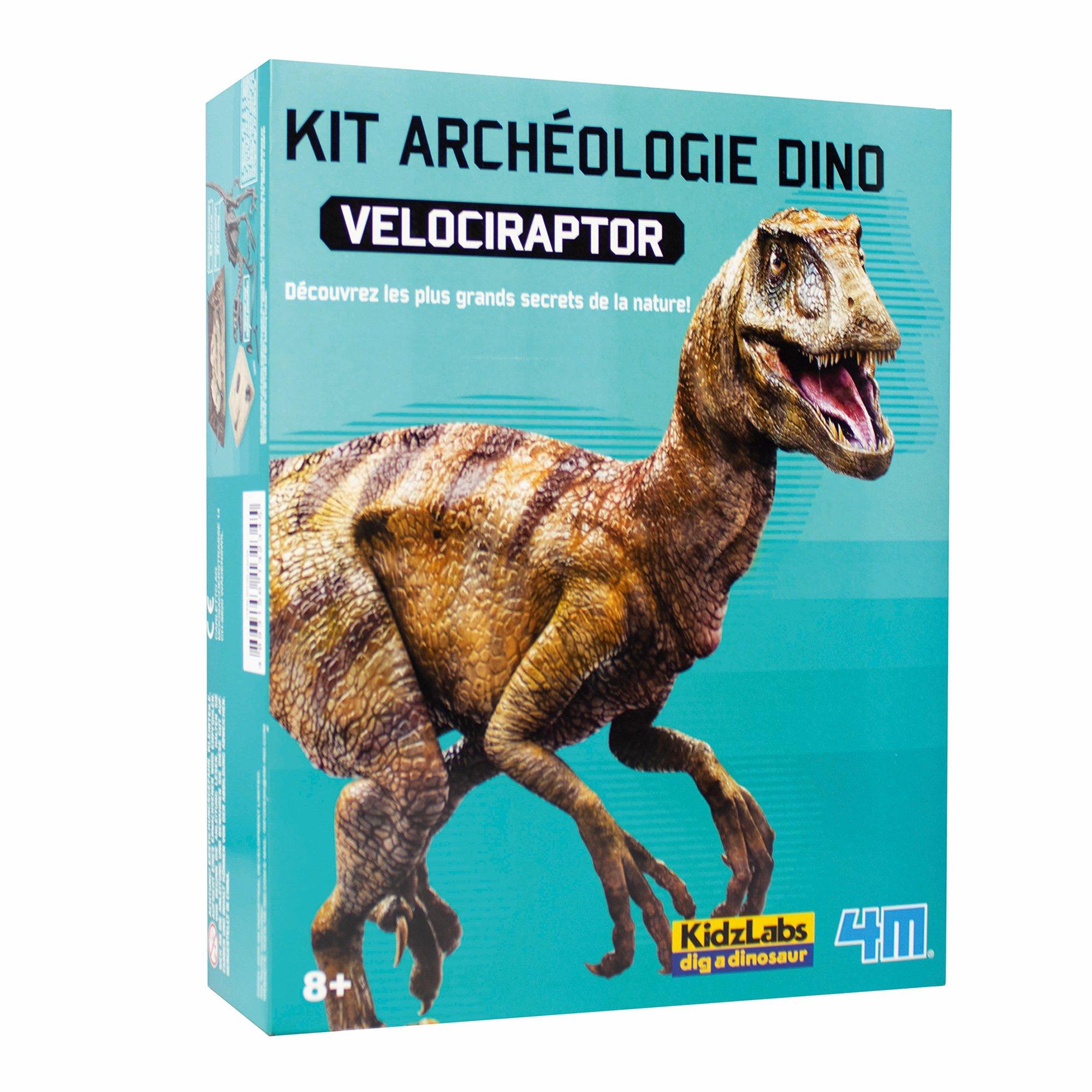 4M  Fouille Velociraptor allemand/français 