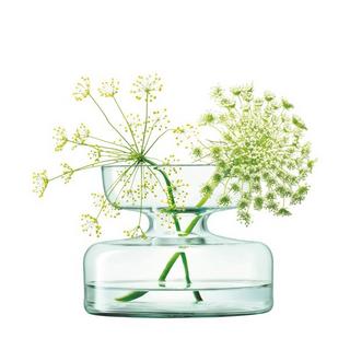 LSA Vase/Zwiebelpflanzer Canopy 