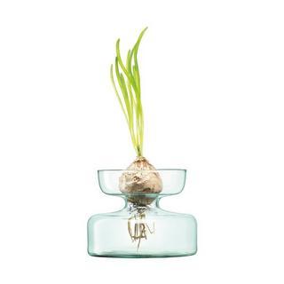 LSA Vase/Zwiebelpflanzer Canopy 