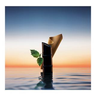 KENZO Kenzo Homme Eau de Parfum  