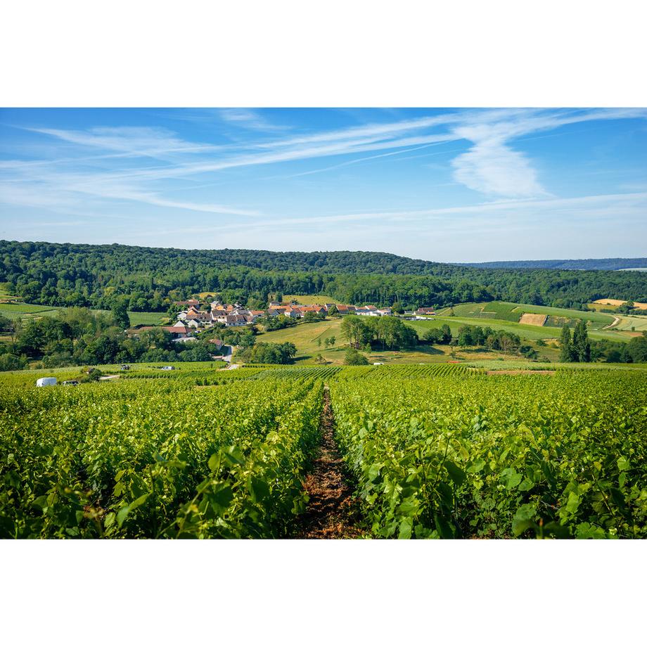 Tribaut Terroirs Premier Cru Extra Brut, Champagne AOP  