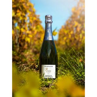 Tribaut Millésime Brut 2014, Champagne AOP  