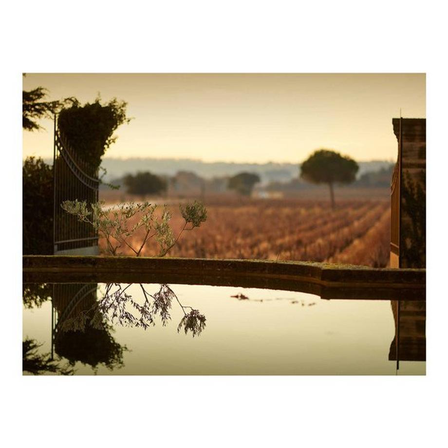 Famille Perrin 2023, La Gille Gigondas, Gigondas AOP  