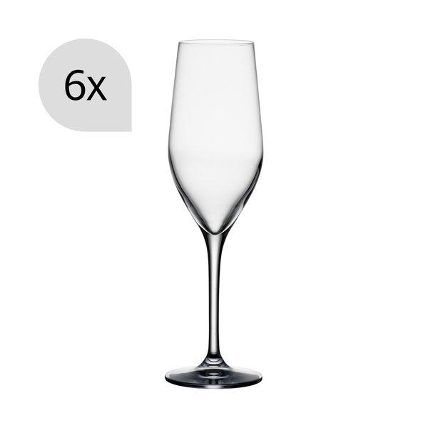 Image of Champagnerglas, 6 Stück Champagnerglas, 6 Stück