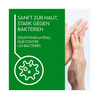 Dettol Savon liquide Refill Aloe Vera Dettol Seife Refill 