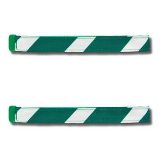 Satch Swap Swaps G&W 