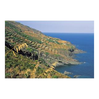 Donnafugata 2021, Kabir, Moscato di Pantelleria DOC  