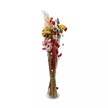 Trockenblumen