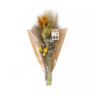 Artoz Trockenblumen  