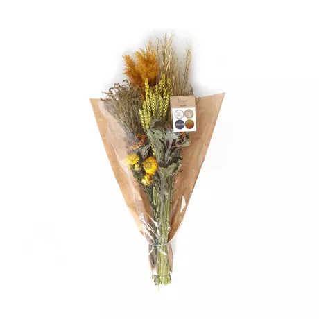 Artoz Trockenblumen  
