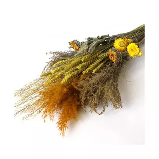 Artoz Trockenblumen  