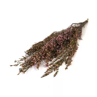 Artoz Trockenblumen  