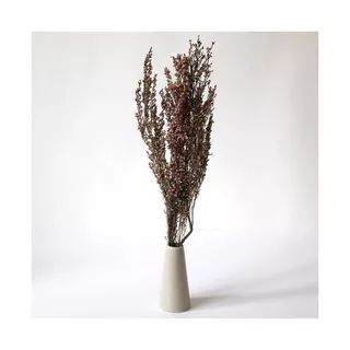 Artoz Trockenblumen  