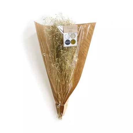 Artoz Trockenblumen  