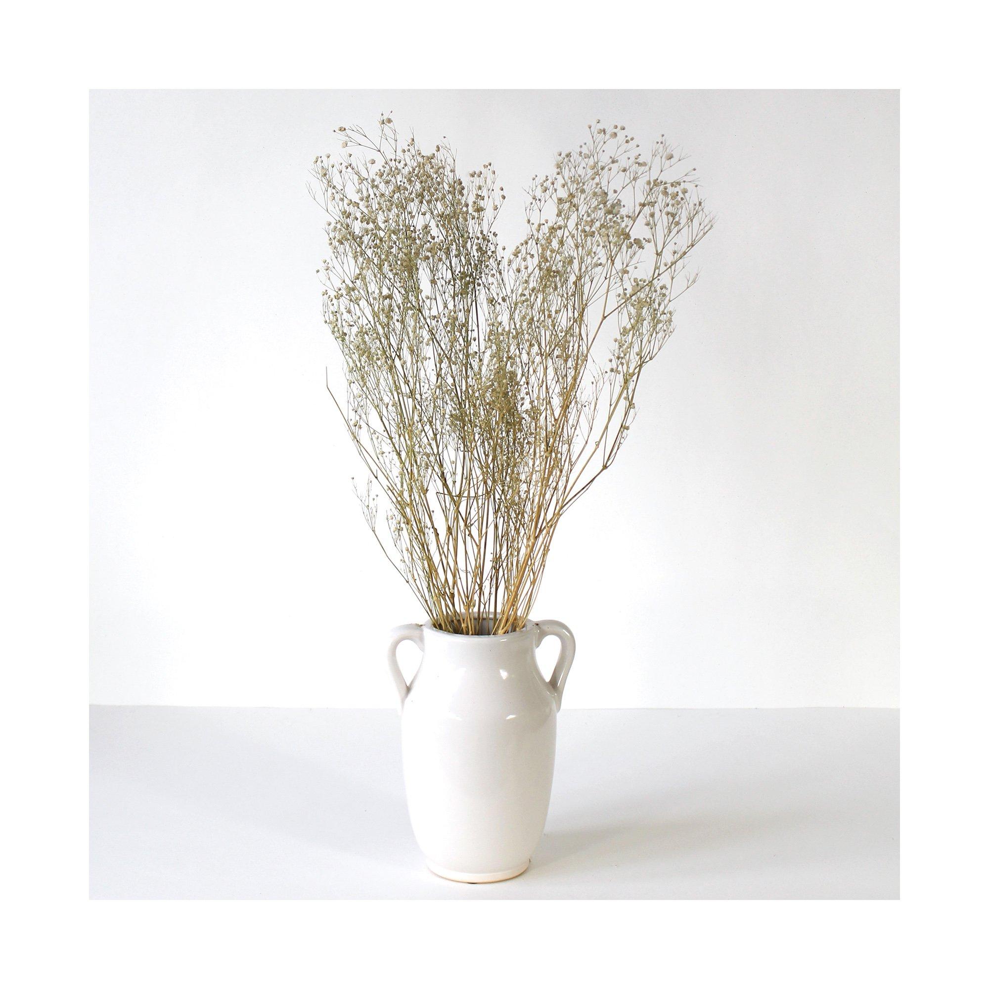Artoz Trockenblumen  
