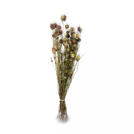 Artoz Trockenblumen  