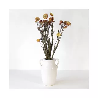 Artoz Trockenblumen  
