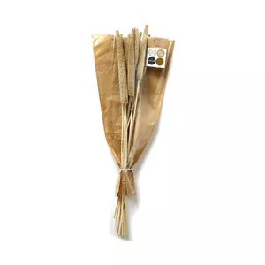 Fiori secchi
