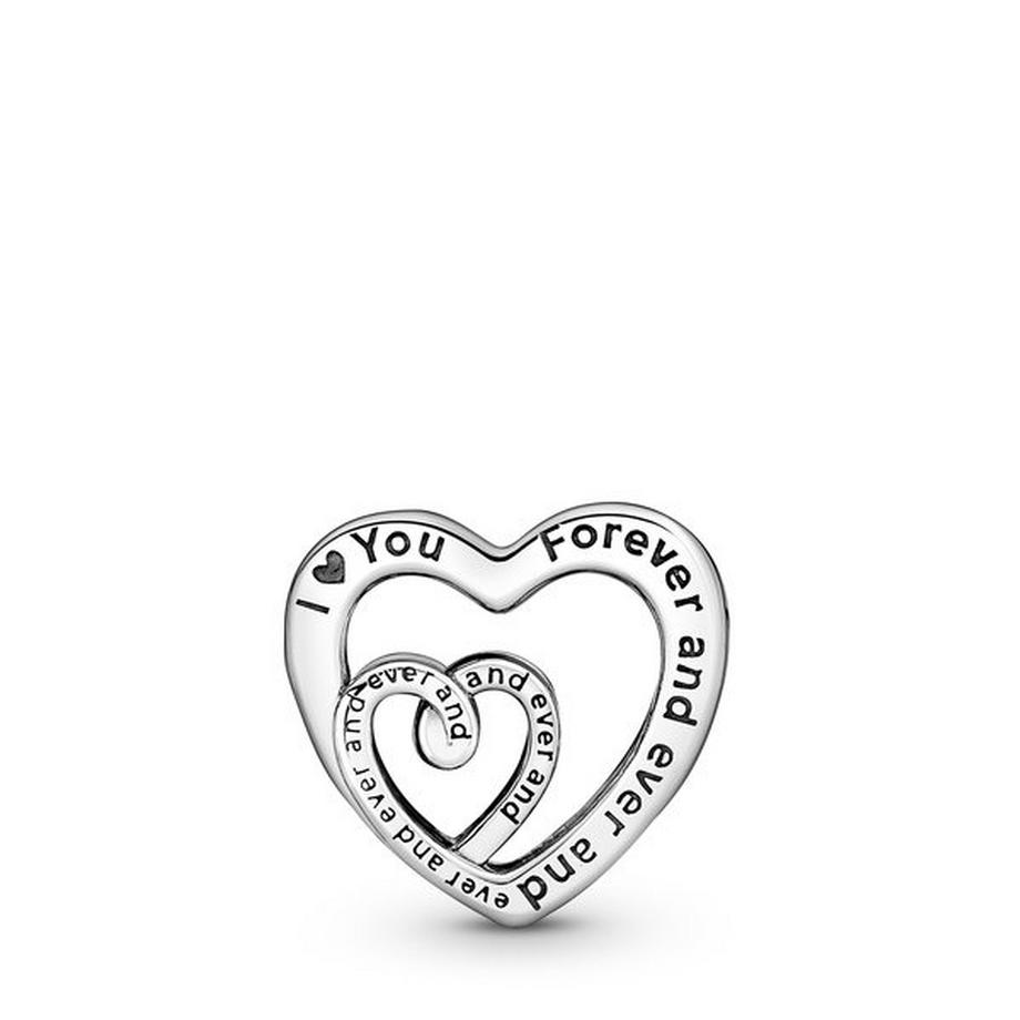 PANDORA Pandora Moments Charm 