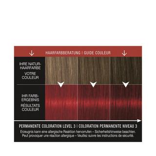 syoss Syoss BL XPantone 6-66 Roasted Pecan Permanente Coloration 