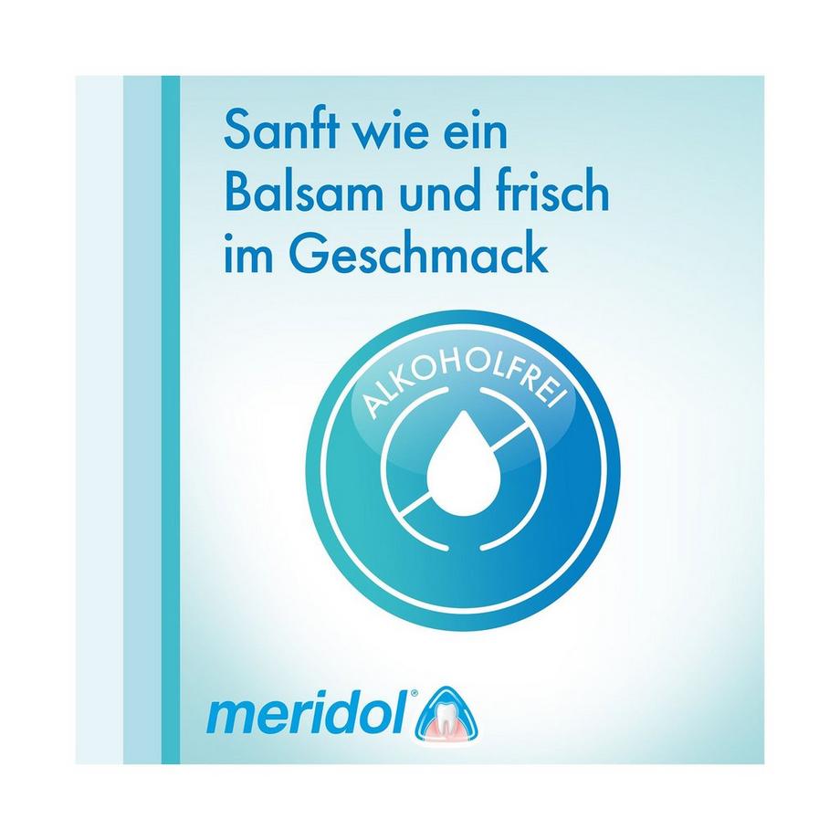 meridol Rundumpflege Rundumpflege Mundspülung, bekämpft Plaquebakterien 