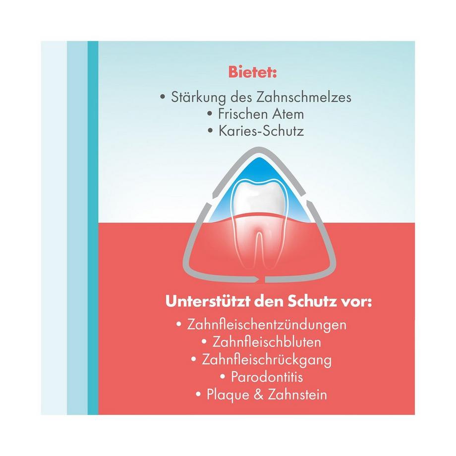 meridol Rundumpflege Rundumpflege Mundspülung, bekämpft Plaquebakterien 