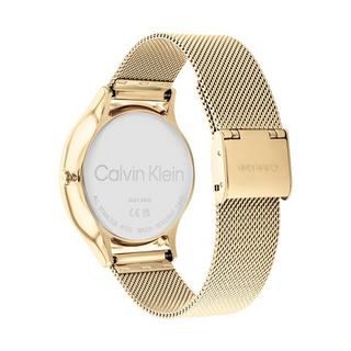 Calvin Klein TIMELESS MESH MF Montre multifonctions 