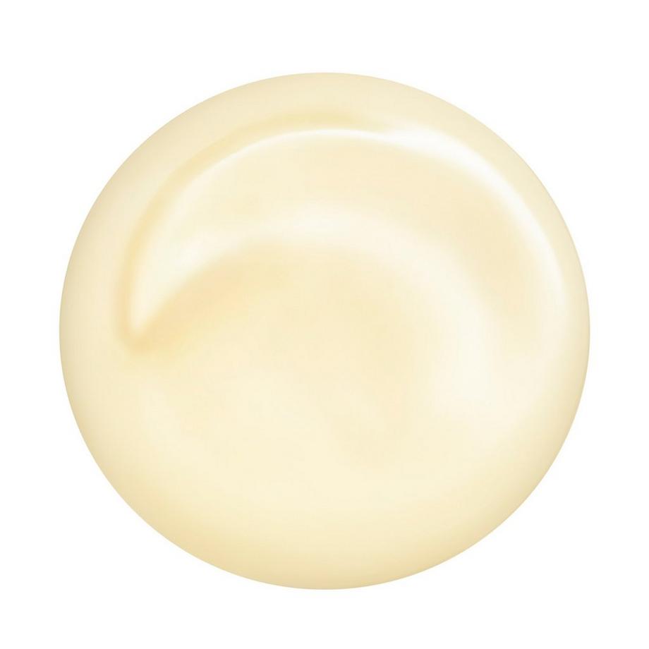 SHISEIDO  Total Revitalizer Eye 