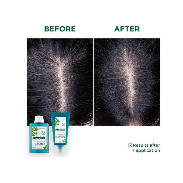 KLORANE Menthe aquatique BIO Shampooing détox 