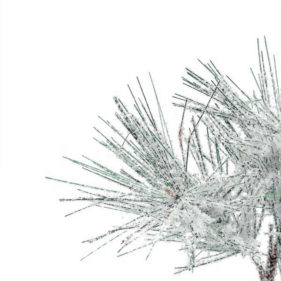 Manor Papeterie No Label Decorazione di Natale  