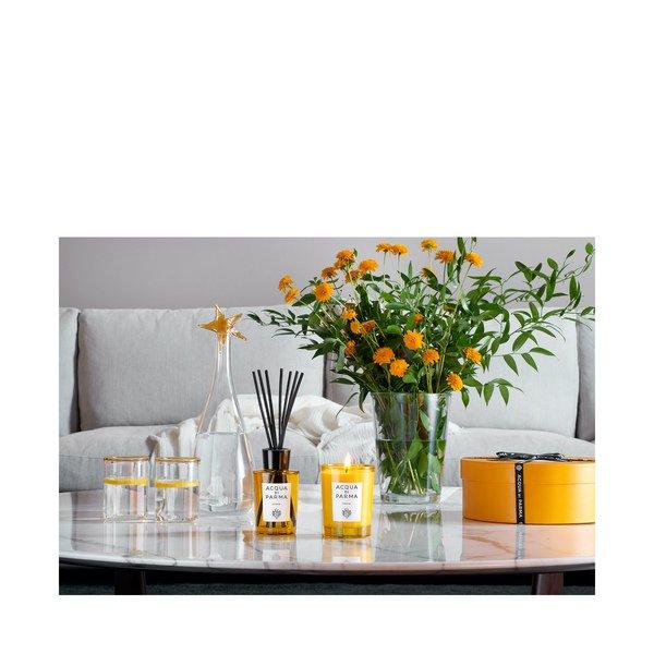 ACQUA DI PARMA Insieme Diffuseur DIFFUSERS 