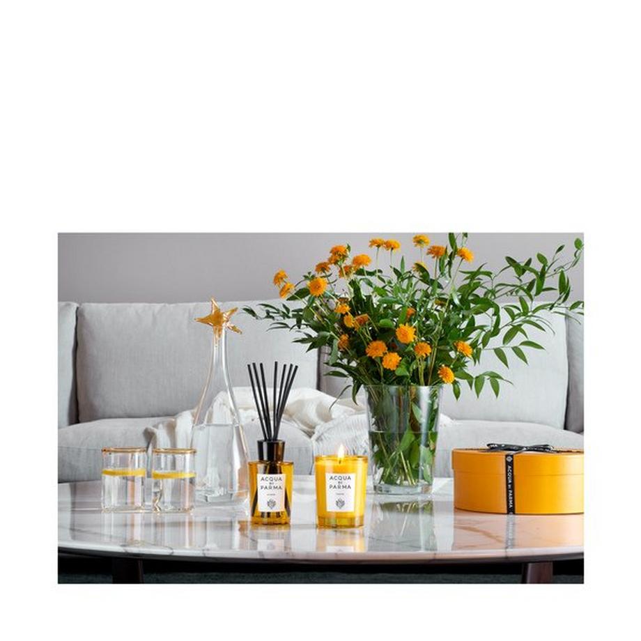 ACQUA DI PARMA Insieme Diffuseur DIFFUSERS 