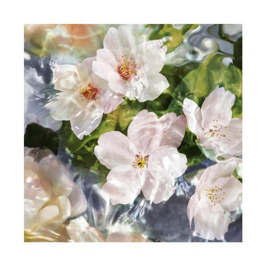 Guerlain Aqua Allegoria Flora Cherrysia Eau de Toilette  