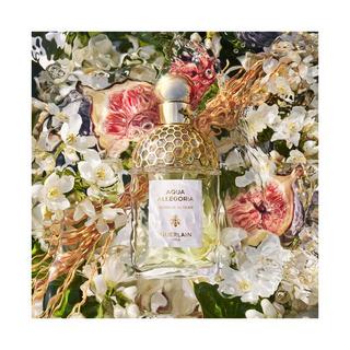 Guerlain Aqua Allegoria Nerolia Vetiver Eau de Toilette  
