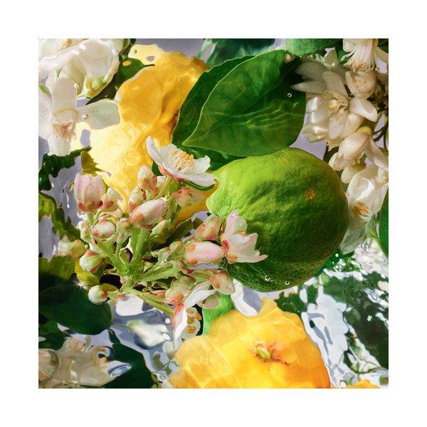 Guerlain Aqua Allegoria Bergamotte Calabria Eau de Toilette  