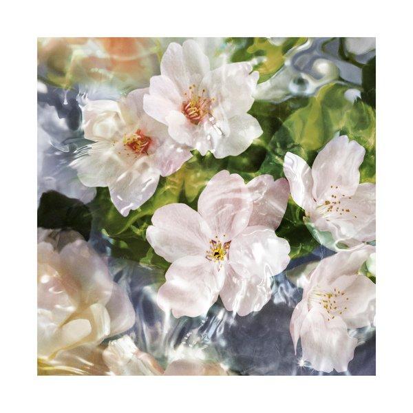 Guerlain Aqua Allegoria Flora Cherrysia Eau de Toilette  