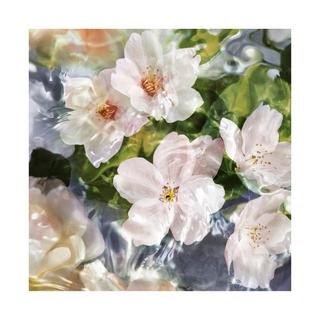 Guerlain Aqua Allegoria Flora Cherrysia Eau de Toilette  