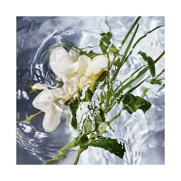 Guerlain Aqua Allegoria Herba Fresca Eau de Toilette  