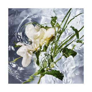 Guerlain Aqua Allegoria Herba Fresca Eau de Toilette  